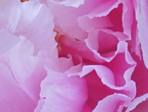Preview - Click to zoom